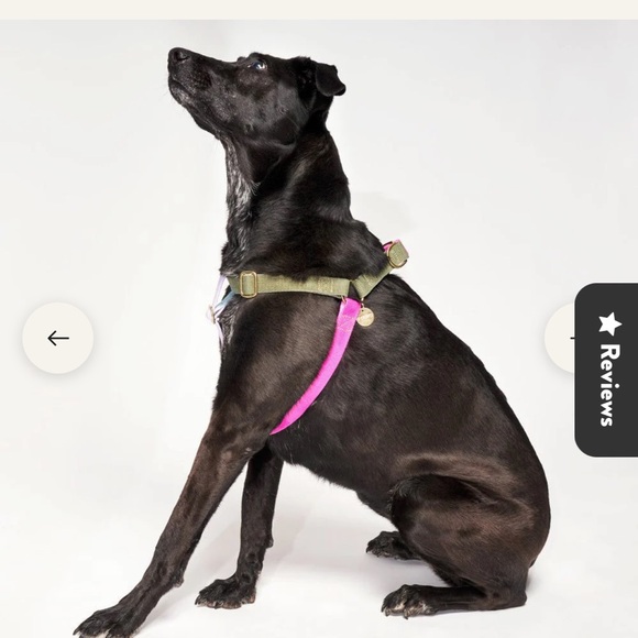 FOUND BY ANIMAL ☀️ - Picture 4 of 4